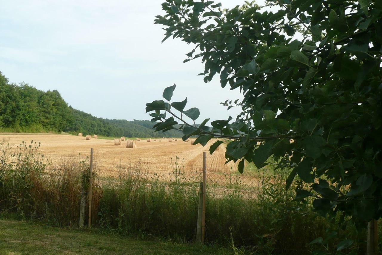 Domaine Serrot Saint-Elix-Theux Exteriör bild